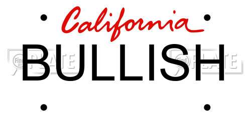 BULLISH California License Plate