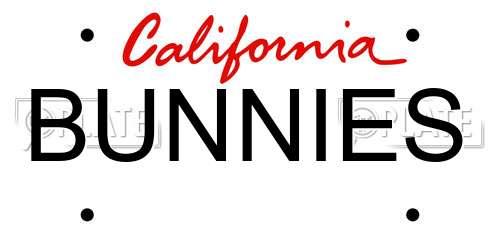 BUNNIES California License Plate