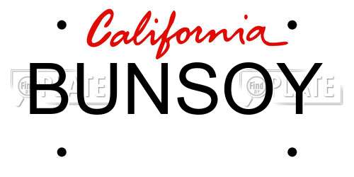 BUNSOY California License Plate