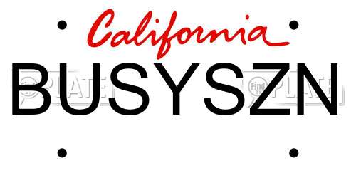 BUSYSZN California License Plate