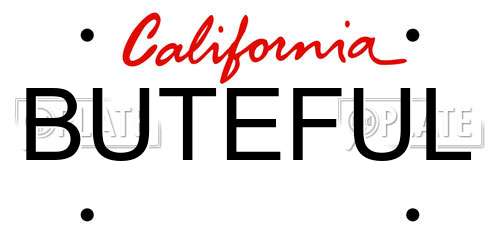 BUTEFUL California License Plate