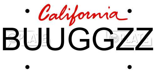 BUUGGZZ California License Plate