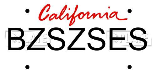 BZSZSES California License Plate