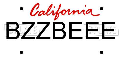 BZZBEEE California License Plate