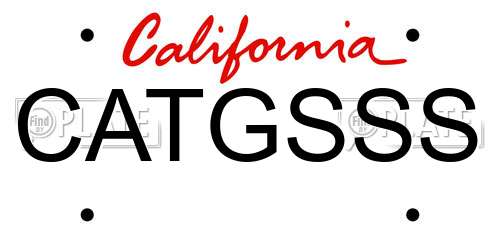 CATGSSS California License Plate