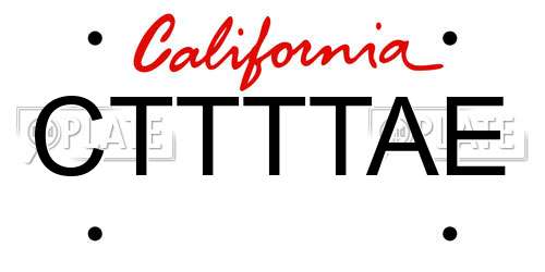 CTTTTAE California License Plate