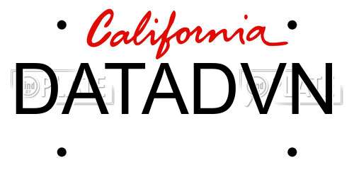 DATADVN California License Plate