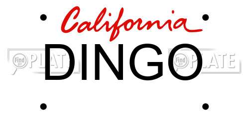 DINGO California License Plate