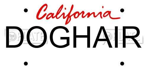 DOGHAIR California License Plate