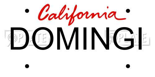 DOMINGI California License Plate