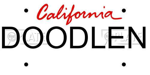 DOODLEN California License Plate