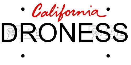 DRONESS California License Plate