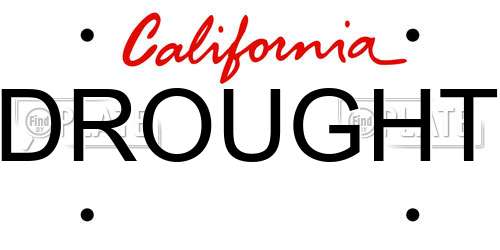 DROUGHT California License Plate