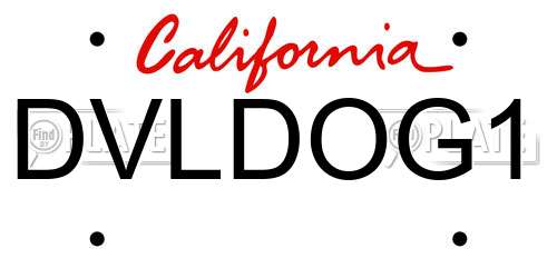 DVLDOG1 California License Plate