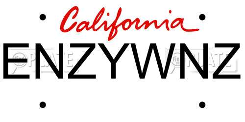ENZYWNZ California License Plate