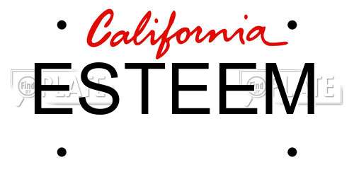 ESTEEM California License Plate