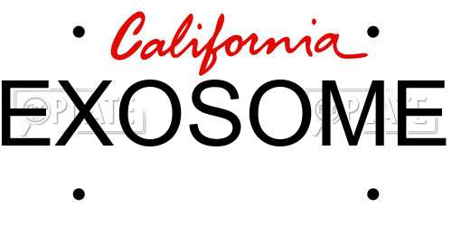 EXOSOME California License Plate
