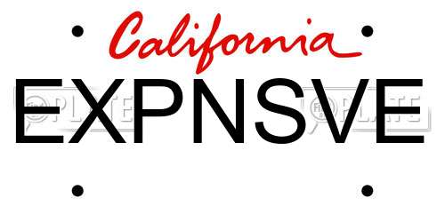 EXPNSVE California License Plate
