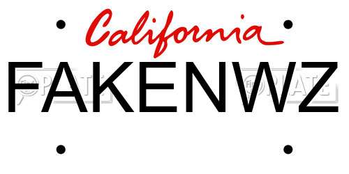 FAKENWZ California License Plate