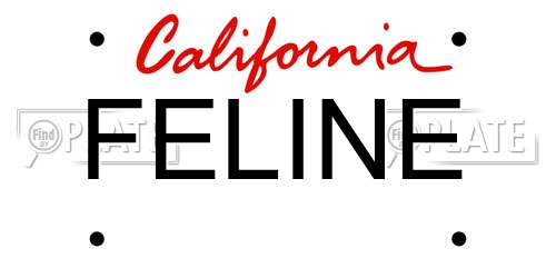 FELINE California License Plate