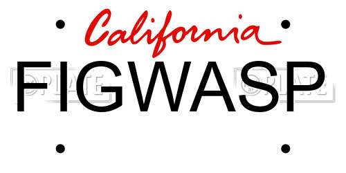 FIGWASP California License Plate