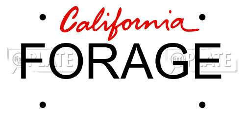 FORAGE California License Plate