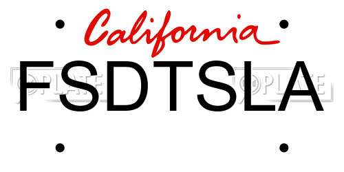 FSDTSLA California License Plate