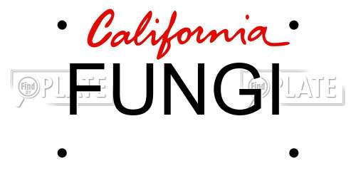 FUNGI California License Plate