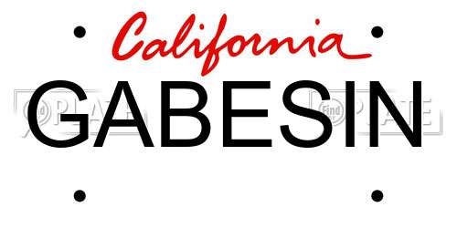 GABESIN California License Plate