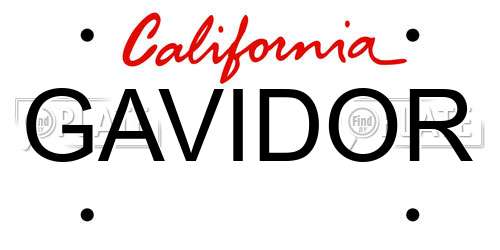 GAVIDOR California License Plate