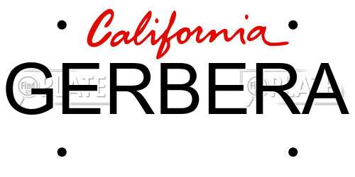 GERBERA California License Plate
