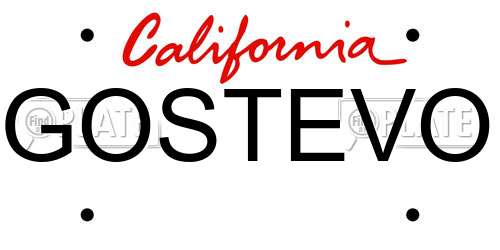 GOSTEVO California License Plate