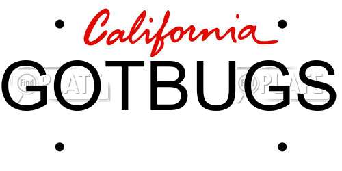GOTBUGS California License Plate