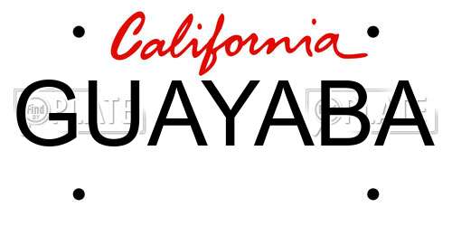 GUAYABA California License Plate