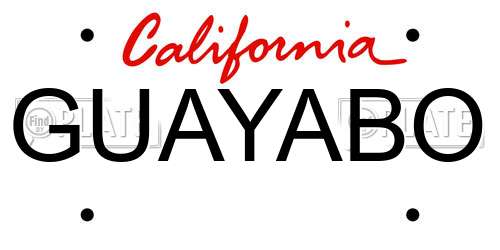 GUAYABO California License Plate