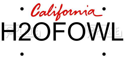 H2OFOWL California License Plate