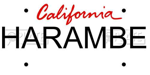 HARAMBE California License Plate