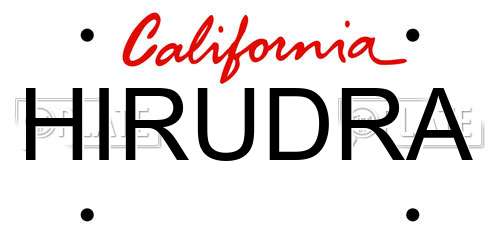 HIRUDRA California License Plate