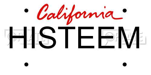 HISTEEM California License Plate