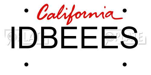 IDBEEES California License Plate