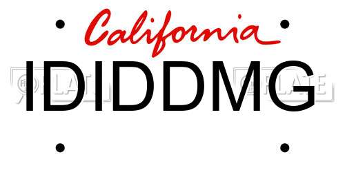 IDIDDMG California License Plate