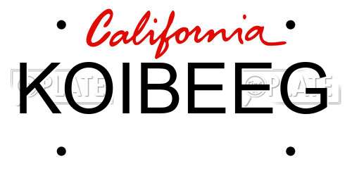 KOIBEEG California License Plate