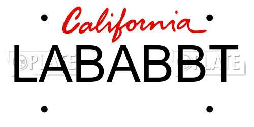 LABABBT California License Plate