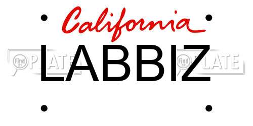 LABBIZ California License Plate