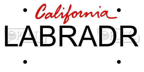 LABRADR California License Plate