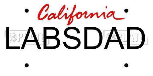 LABSDAD California License Plate
