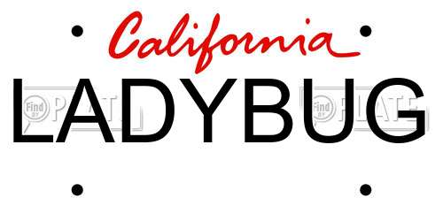 LADYBUG California License Plate