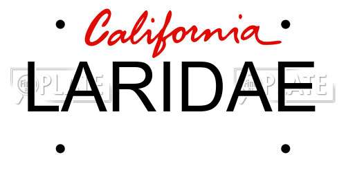 LARIDAE California License Plate