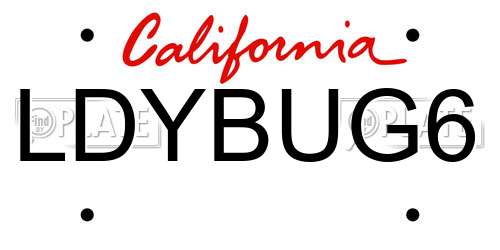 LDYBUG6 California License Plate