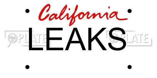LEAKS California License Plate